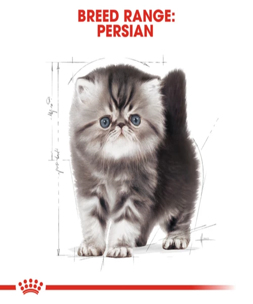 Royal Canin Persian Kitten Food - Pet Mall 