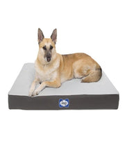 Sealy Defender Water Resistant Orthopedic Dog Bed Cover (*Cover Only)