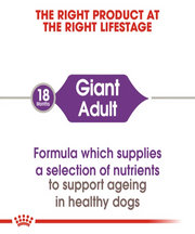 Royal Canin Giant Adult Food 15 KG - Pet Mall