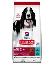 Hill's™ Science Plan™ Canine Medium Tuna and Rice Adult Dog Food