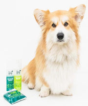 Hownd YUP YOU STINK! CONDITIONING SHAMPOO - Pet Mall